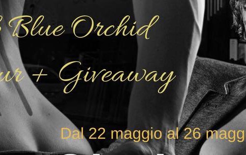 4a Tappa Blog tour Club Blue Orchid
